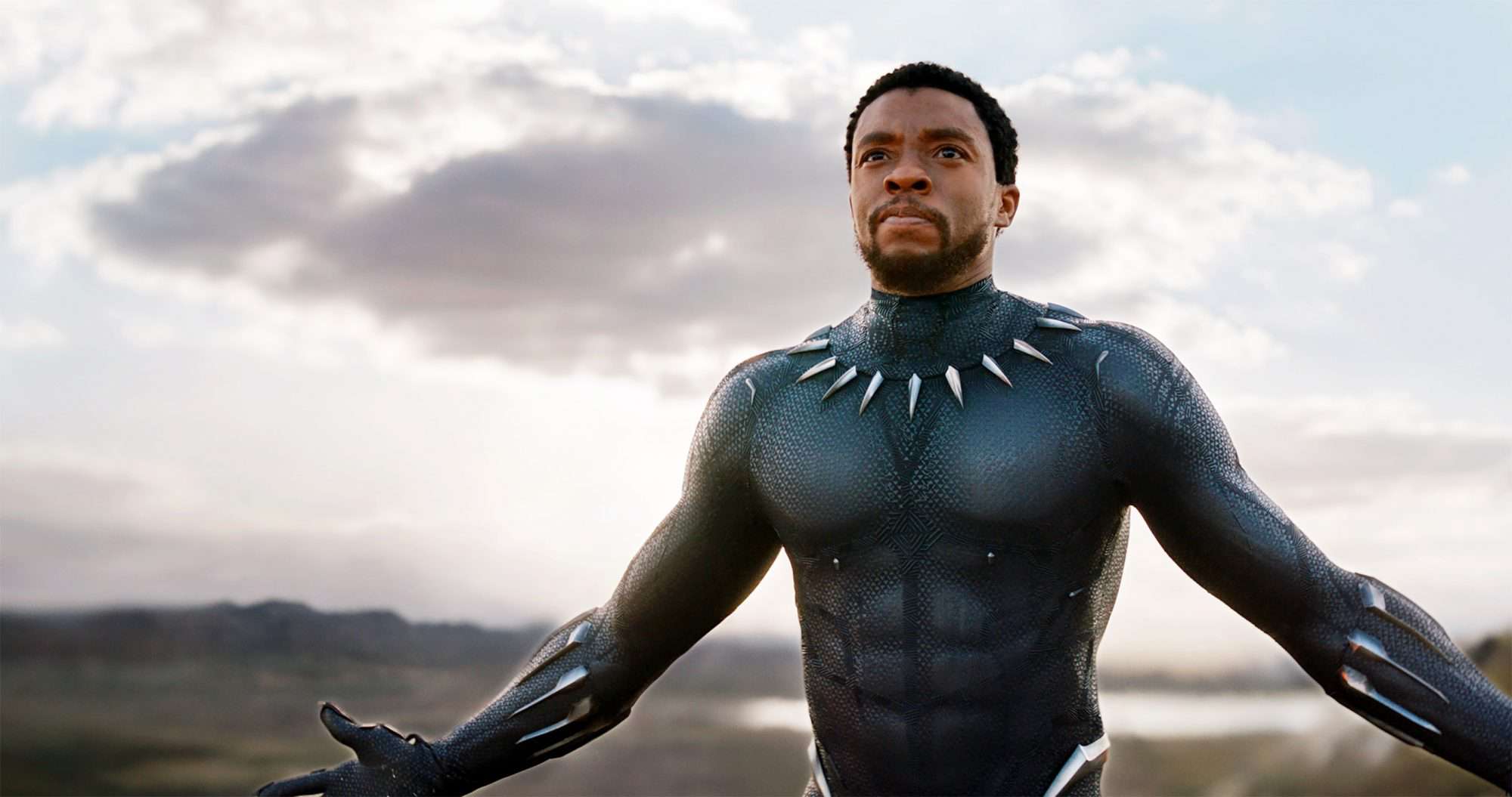 Image de fond du film Black panther